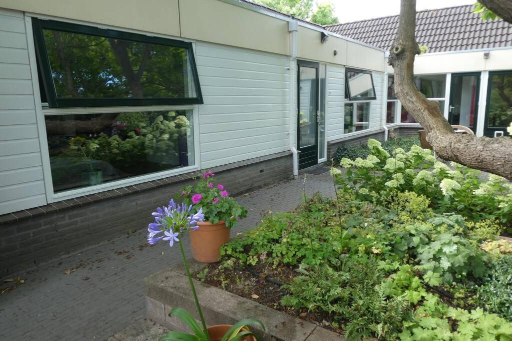 Huis Bij De Catalpa Dordrecht Exterior foto